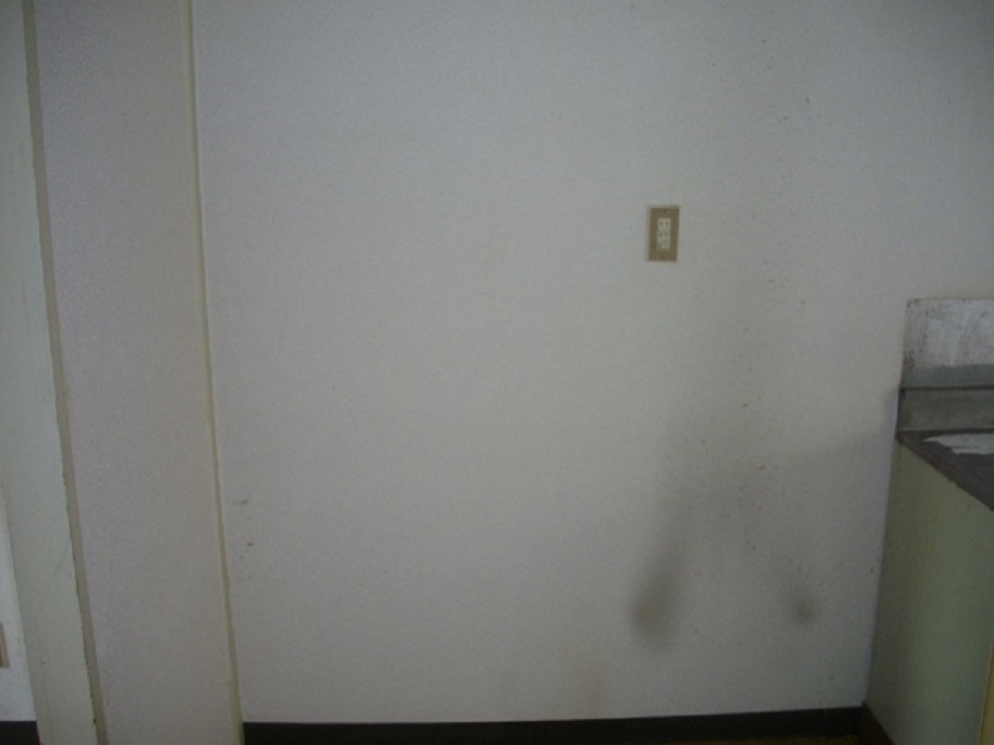 IMGP2287