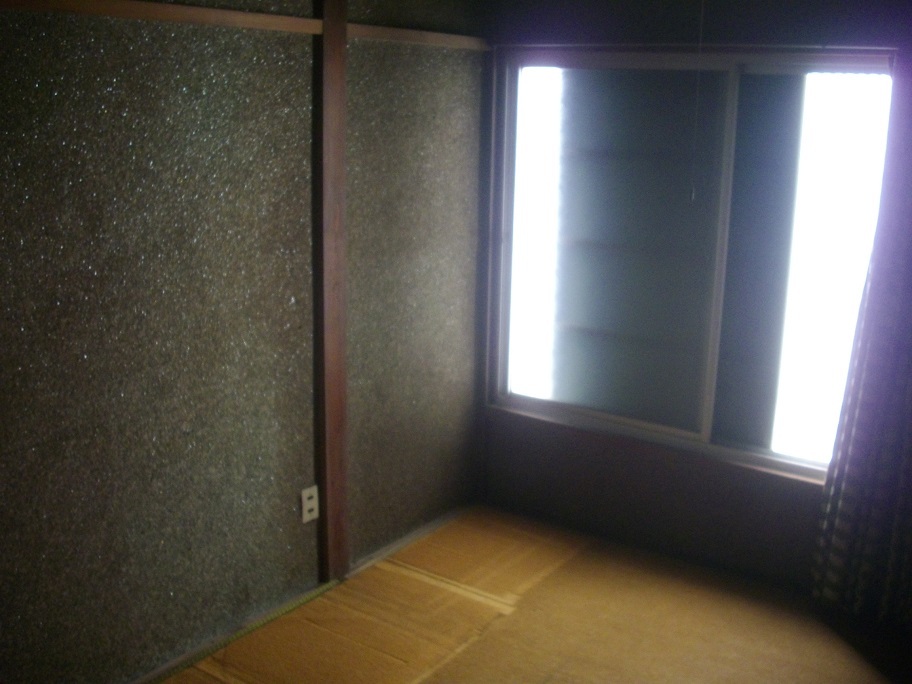IMGP2380