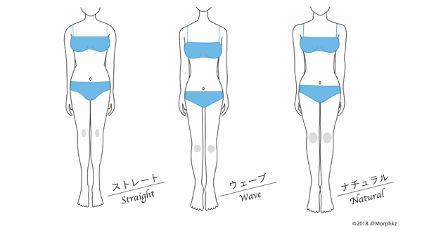 骨格タイプ別身体の特徴|パーソナルカラー診断・骨格診断(アットモーフ金沢)