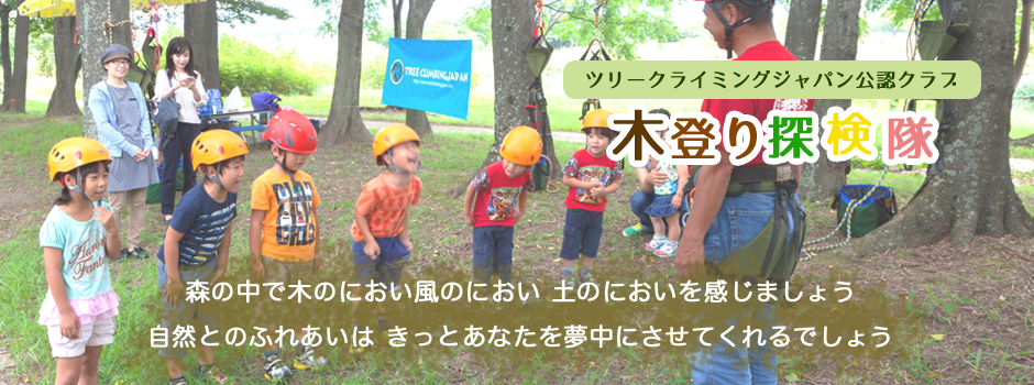 トップ画像