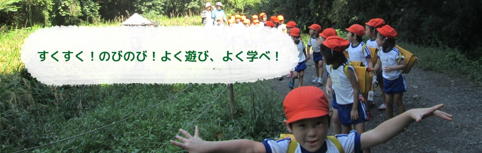 トップ画像