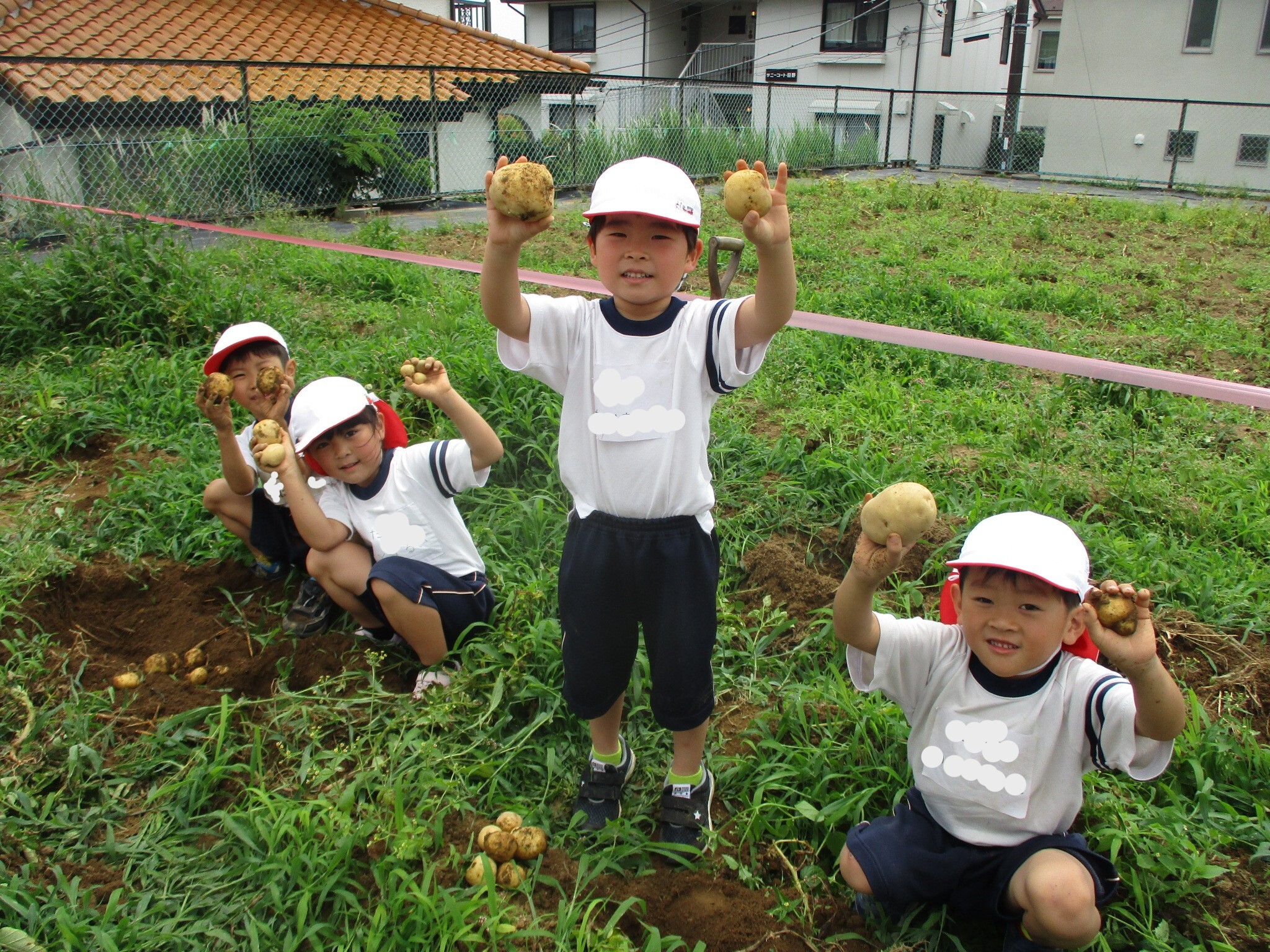 じゃがいもほり