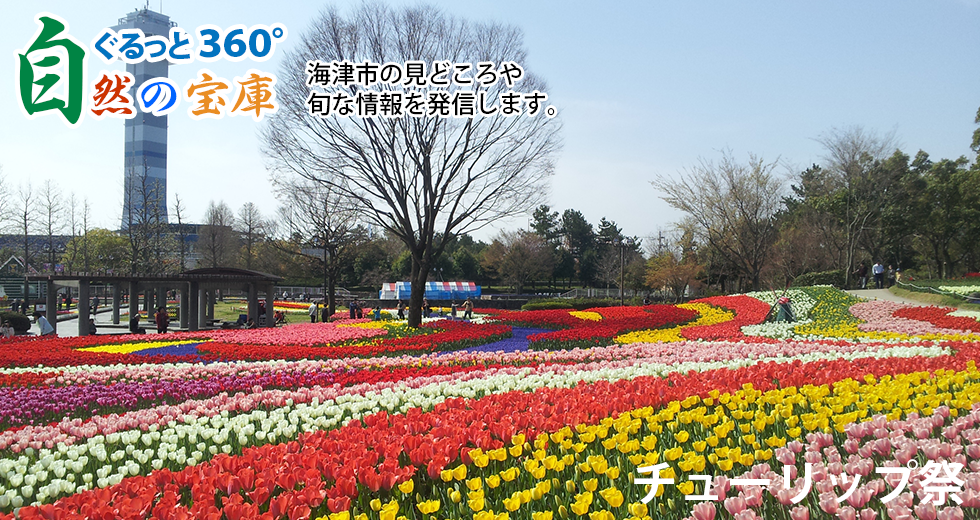 トップイメージ③L