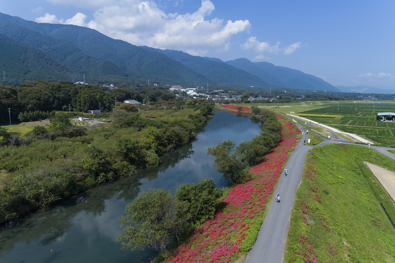 DJI_0020