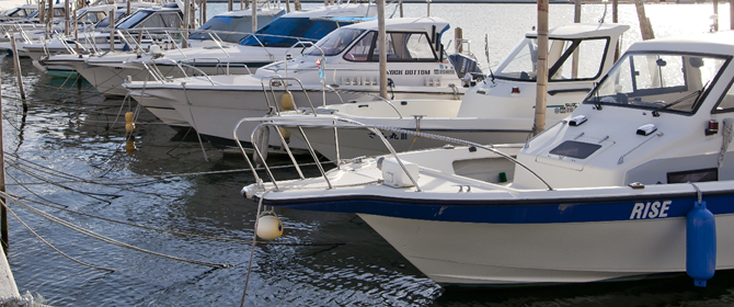 小型船舶免許の更新はおまかせください!