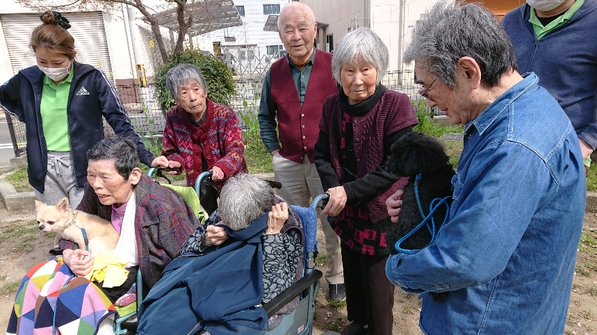 DSCPDC_0002_BURST20190405141