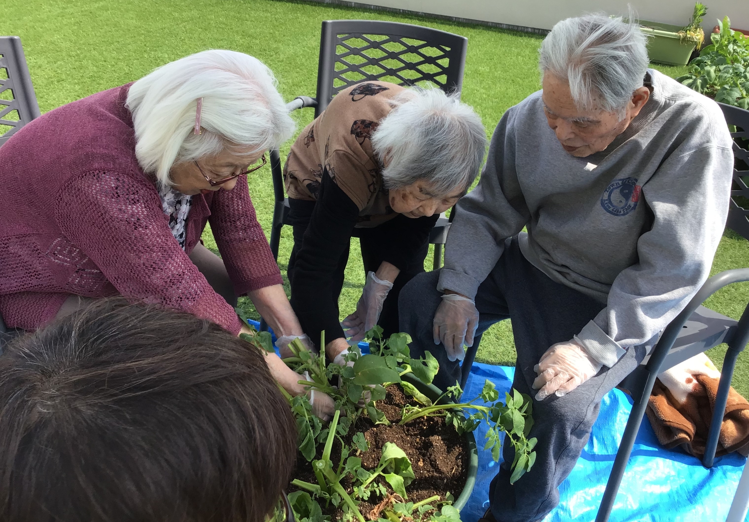 22-06-01-21-46-29-132_deco (1)