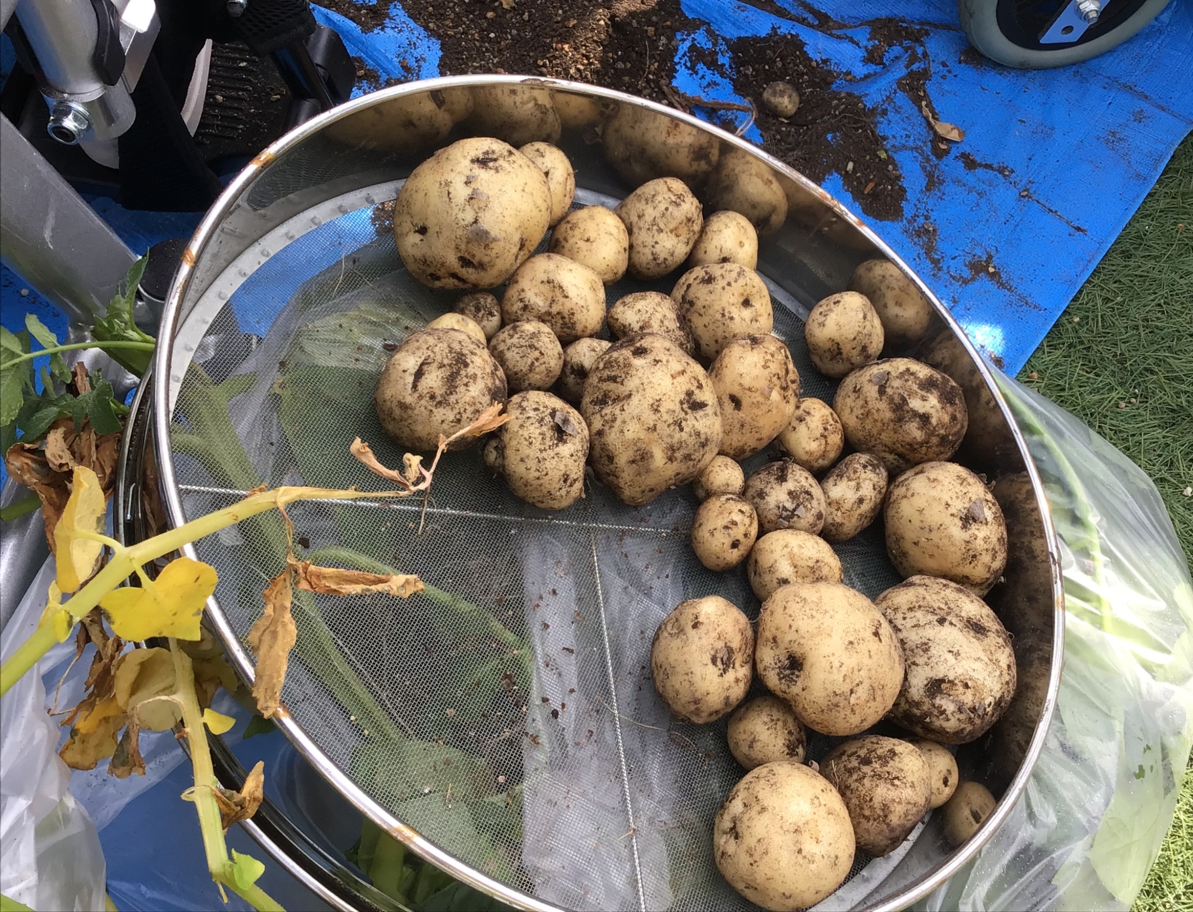 22-06-01-21-49-37-014_deco (1)