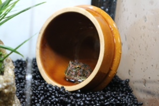 image1-1のコピー
