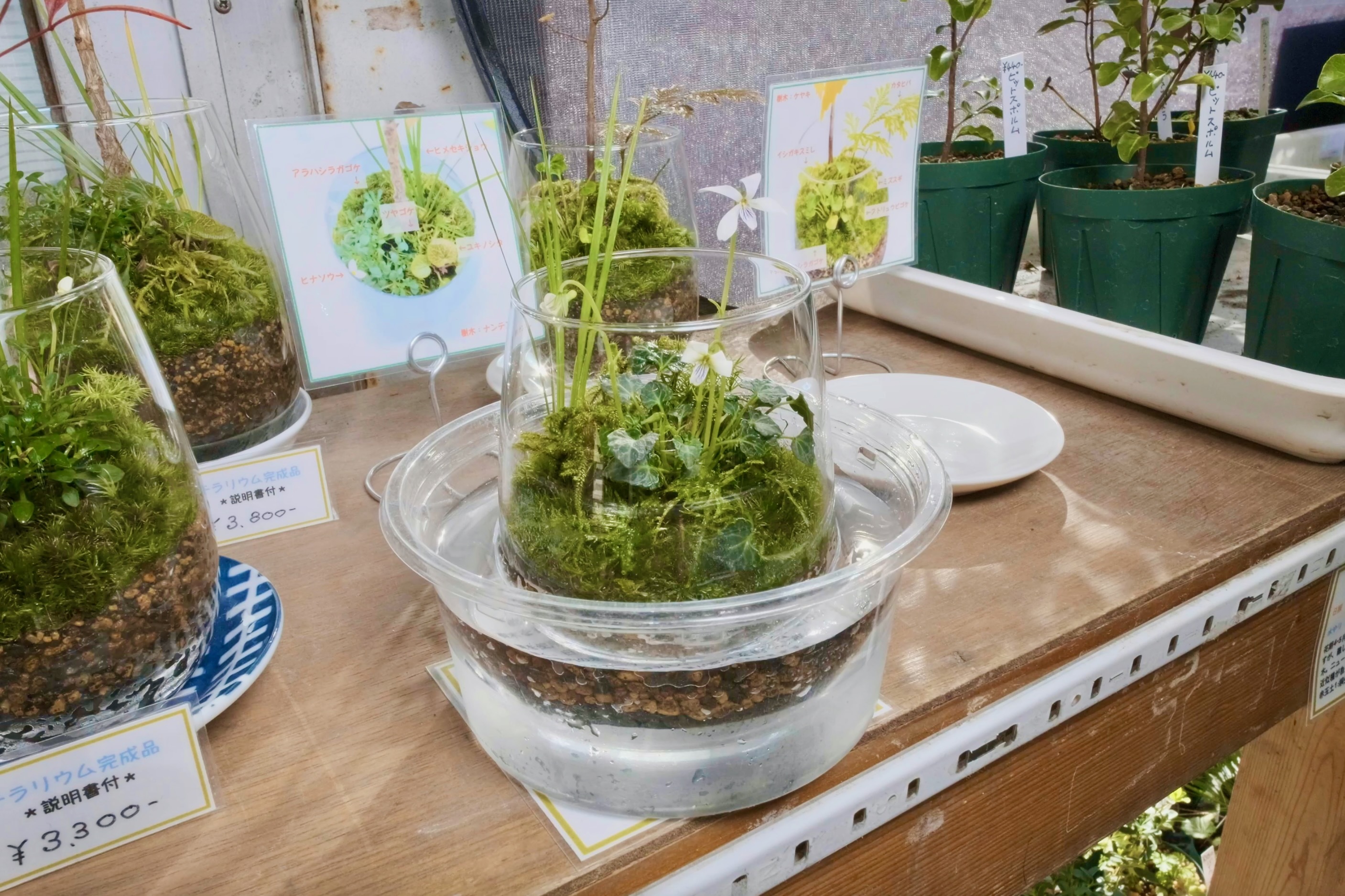 スクリーンショット 2022-12-07 21.06.05