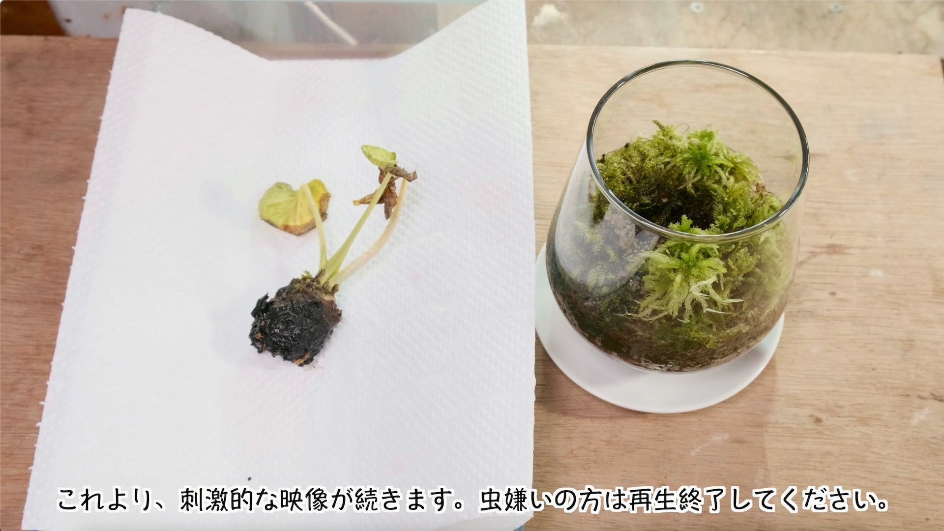 スクリーンショット 2023-03-18 9.31.13