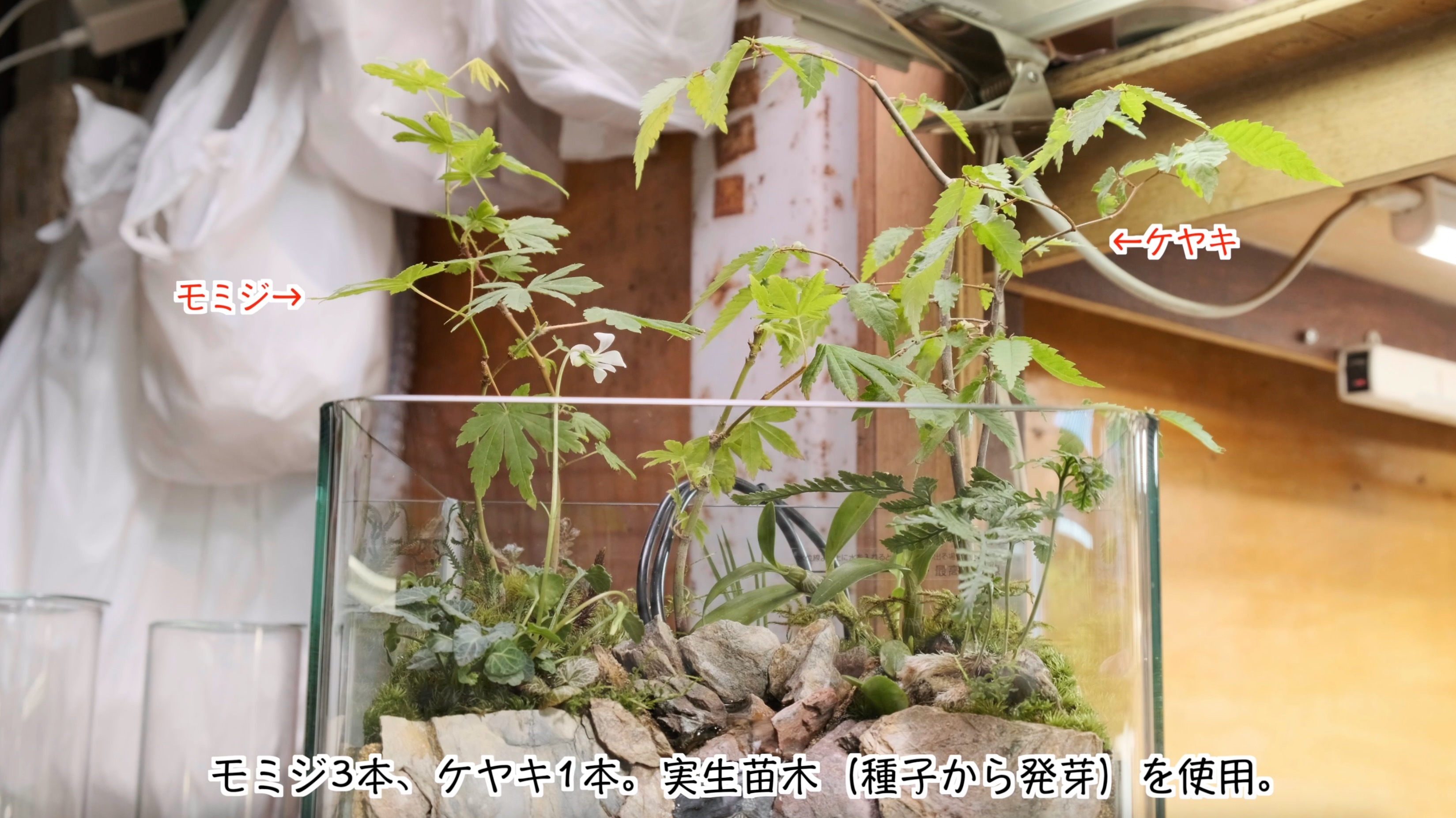 スクリーンショット 2023-05-03 1.55.11