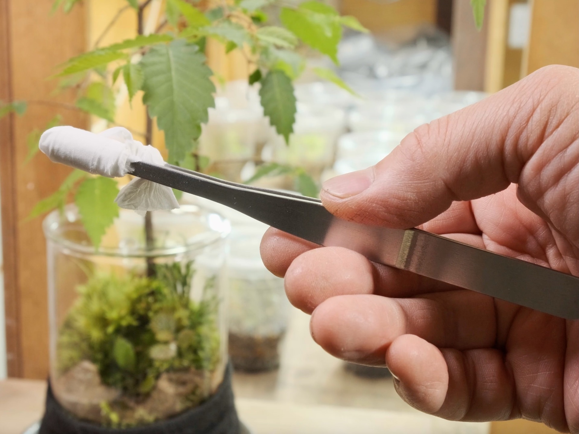 スクリーンショット 2023-05-28 19.14.44