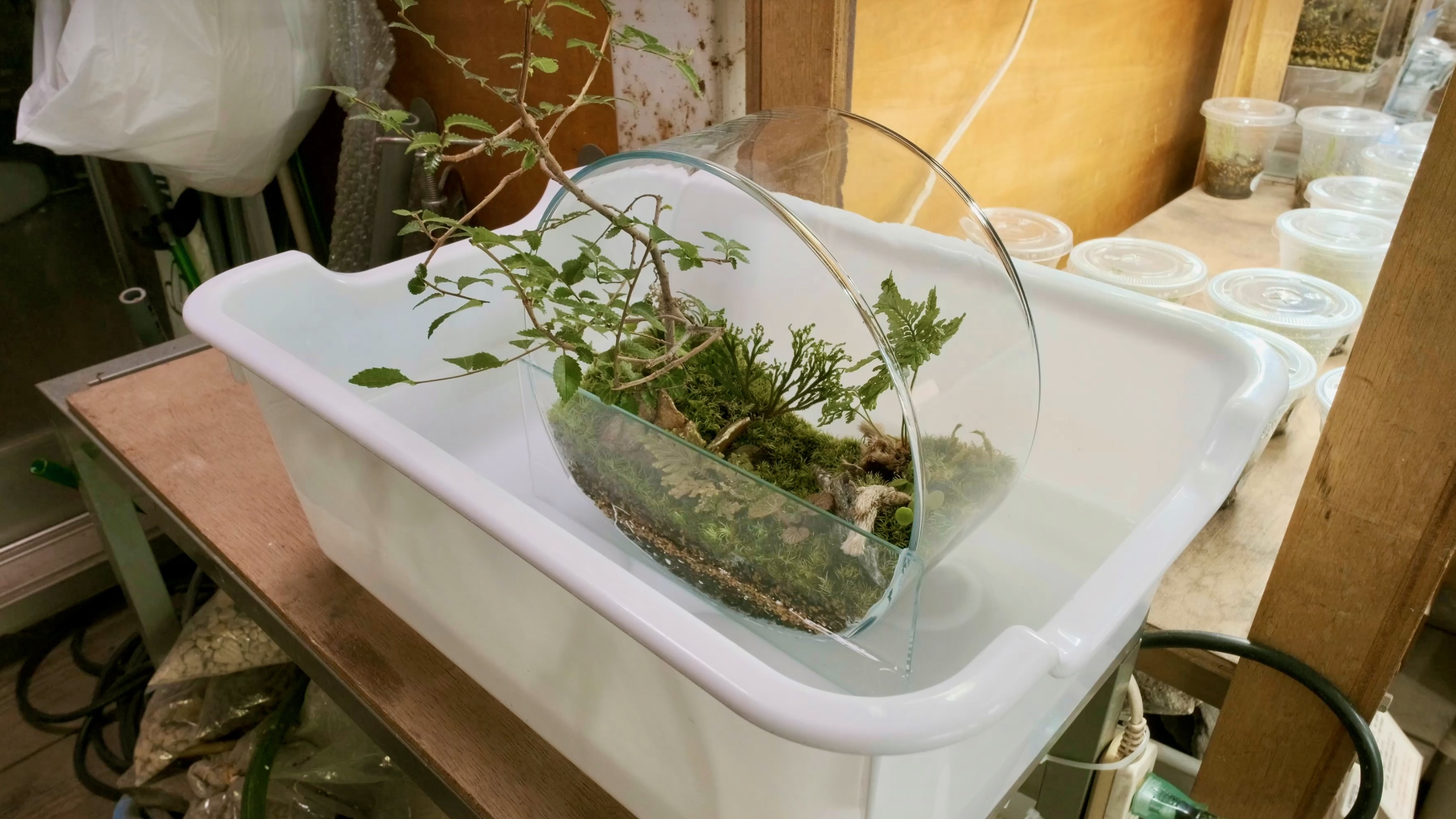 スクリーンショット 2023-06-17 20.29.55