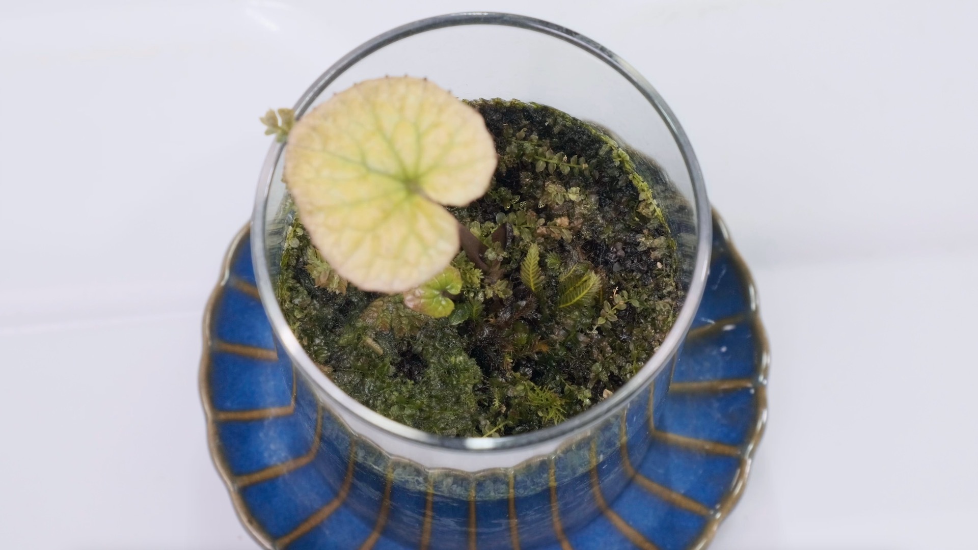 スクリーンショット 2023-07-07 14.30.31