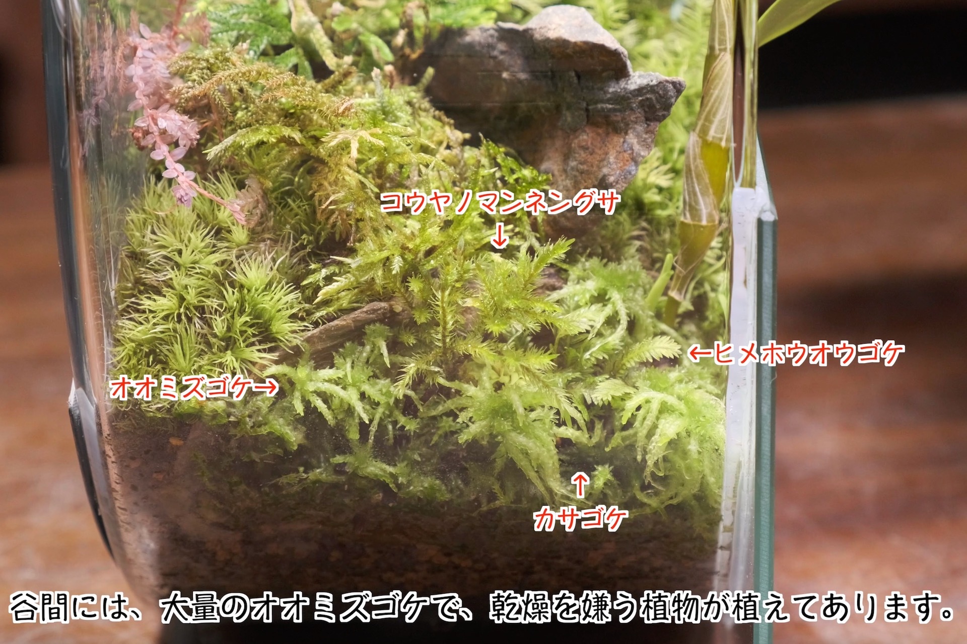 スクリーンショット 2023-07-23 21.34.47