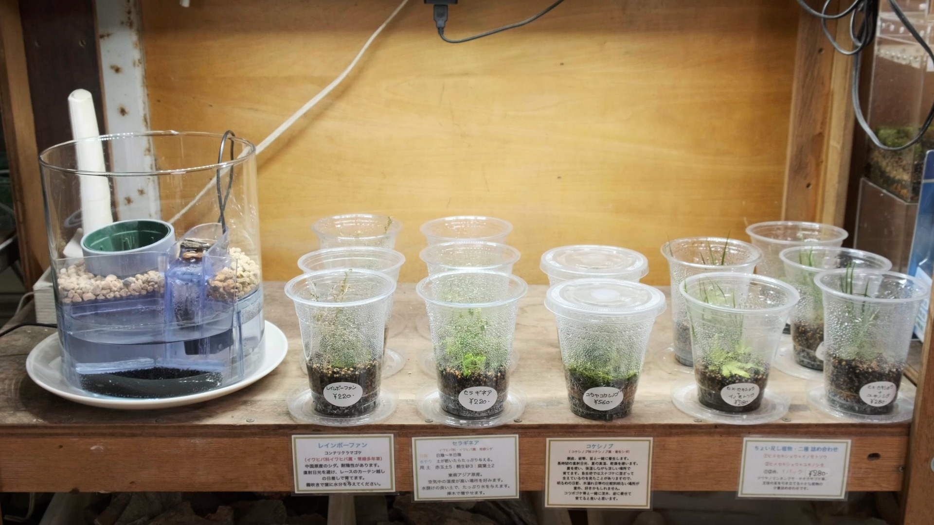 スクリーンショット 2023-08-14 14.44.28