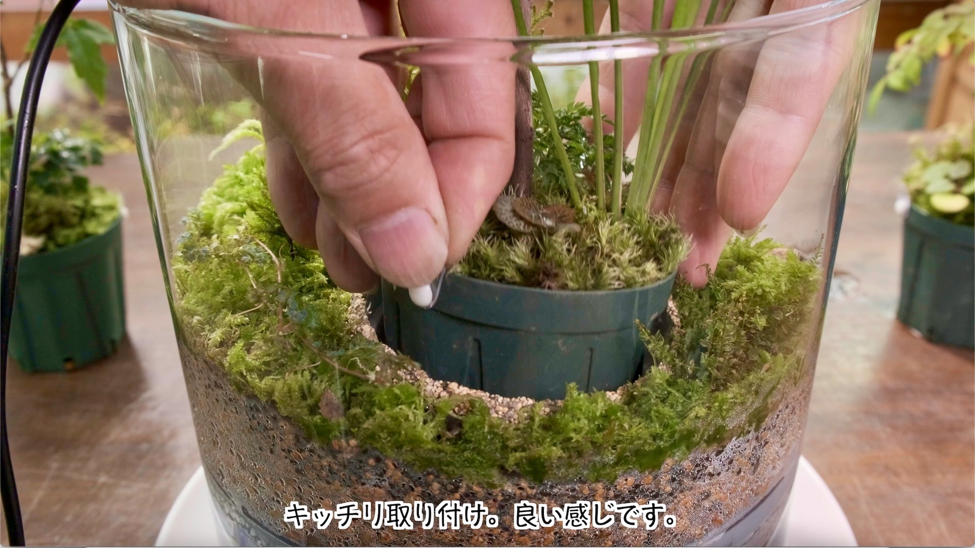 スクリーンショット 2023-09-08 21.30.01