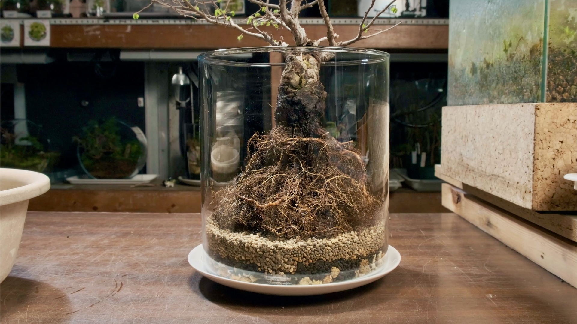 スクリーンショット 2024-03-23 0.55.33