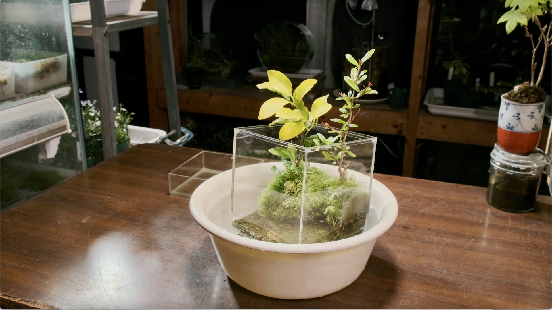 スクリーンショット 2024-03-31 15.18.08