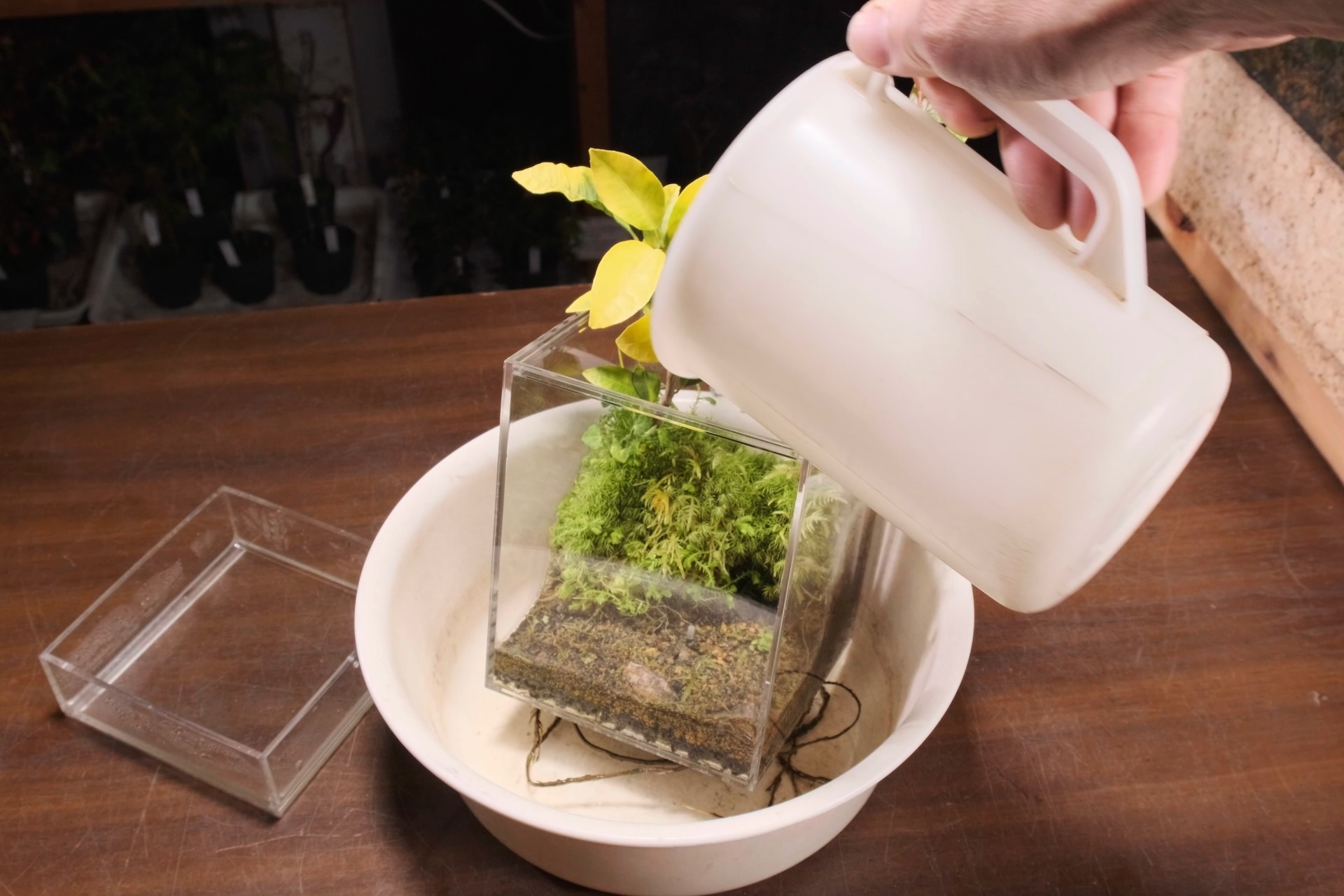 スクリーンショット 2024-04-08 19.38.37