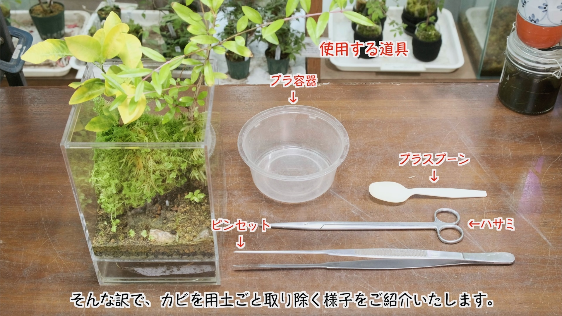 スクリーンショット 2024-05-03 18.31.07