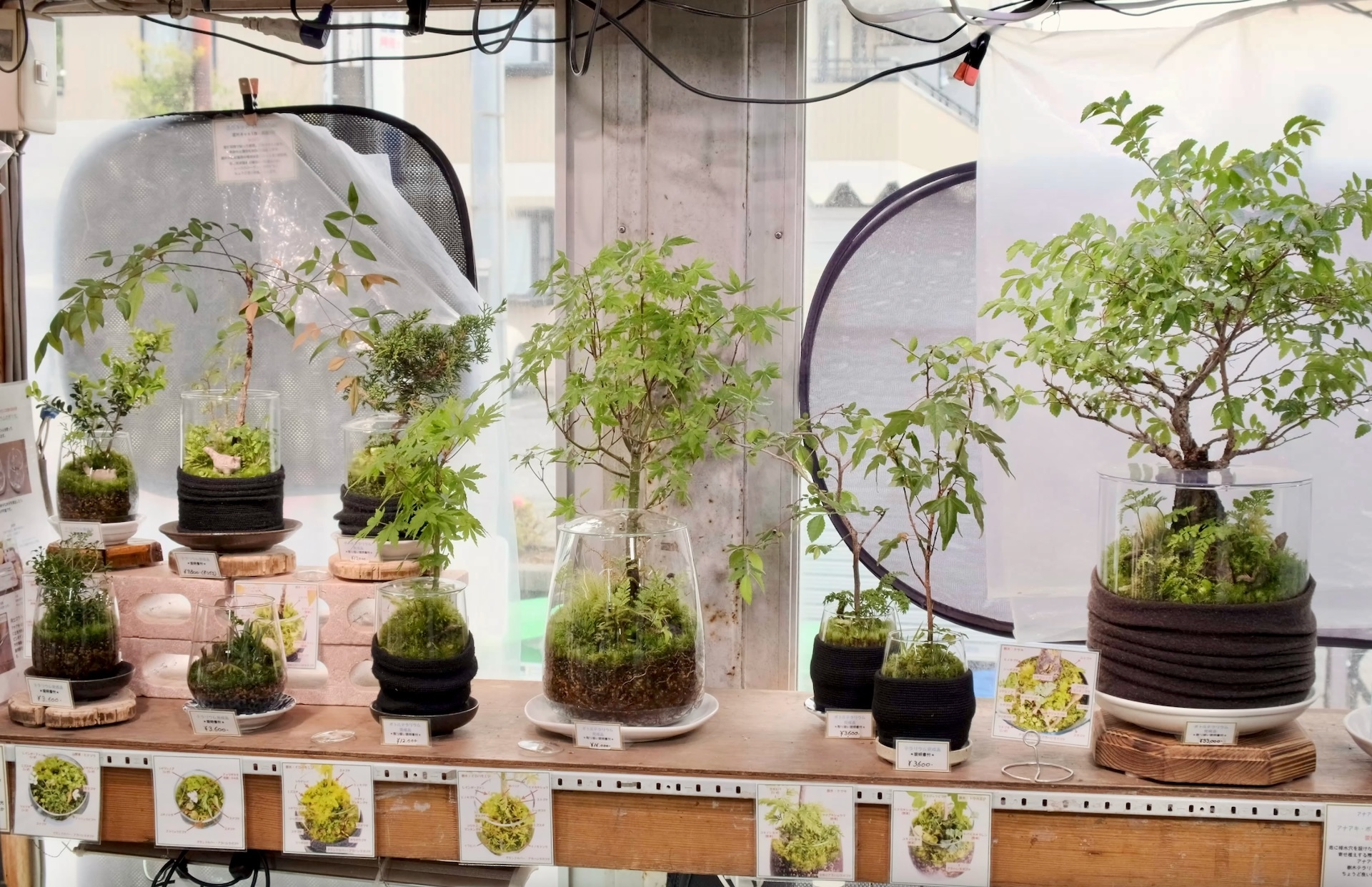 スクリーンショット 2024-05-19 19.32.32