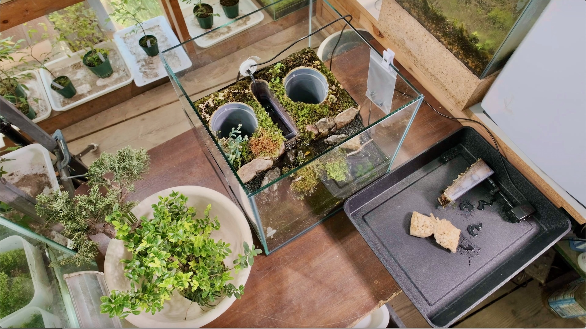 スクリーンショット 2024-08-26 16.43.33