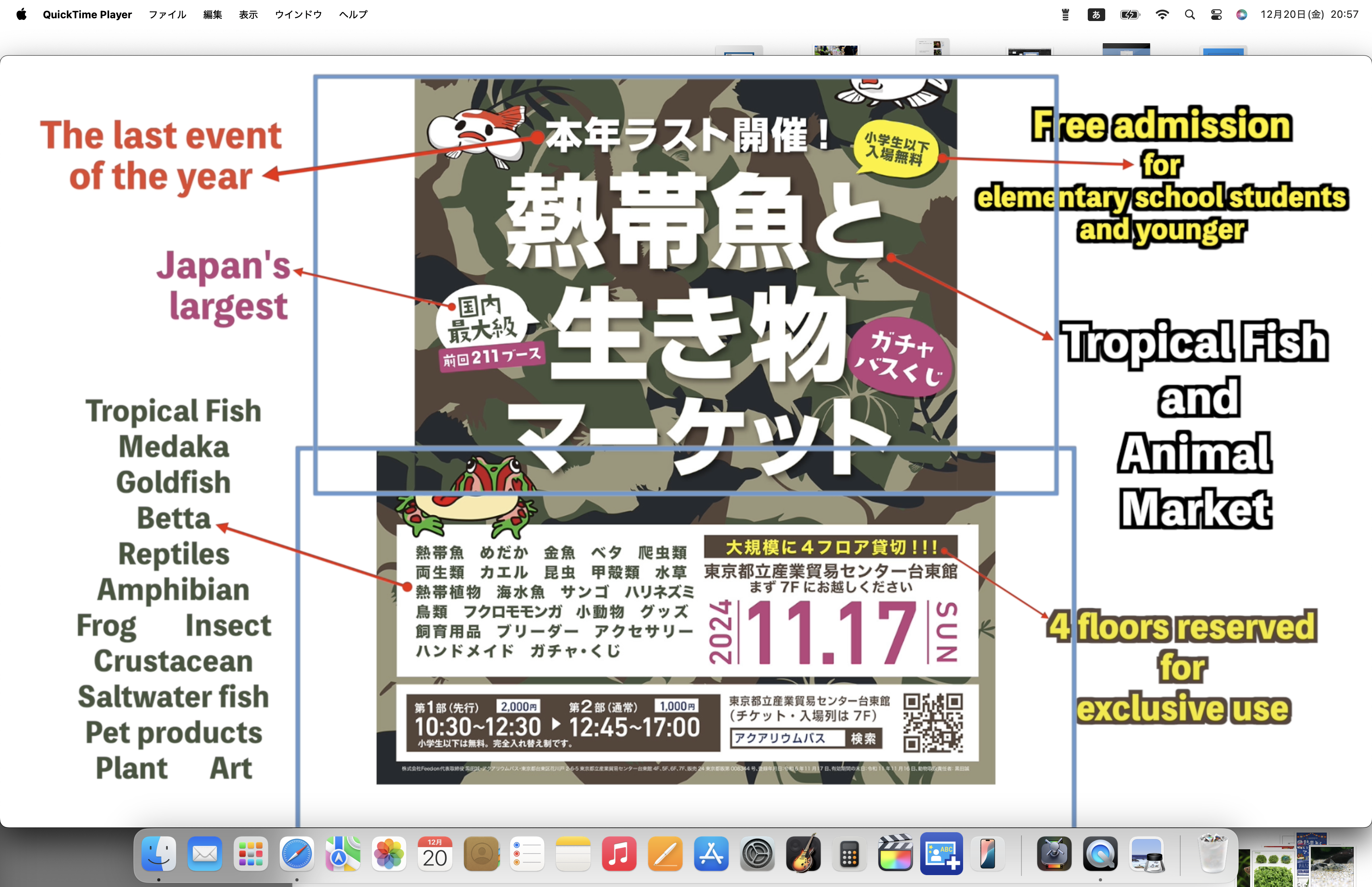 スクリーンショット 2024-12-20 20.57.51