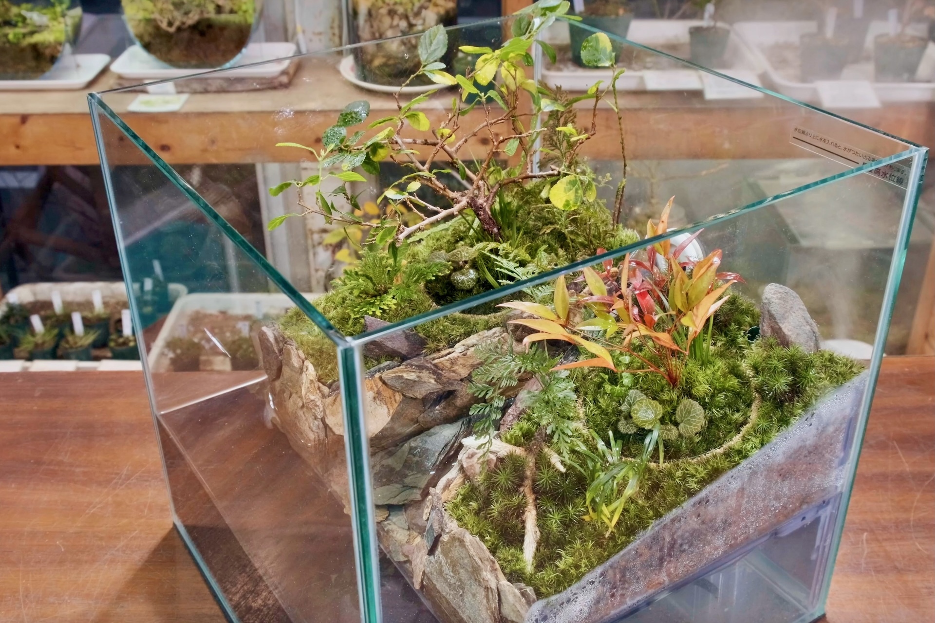 スクリーンショット 2025-03-18 13.54.28