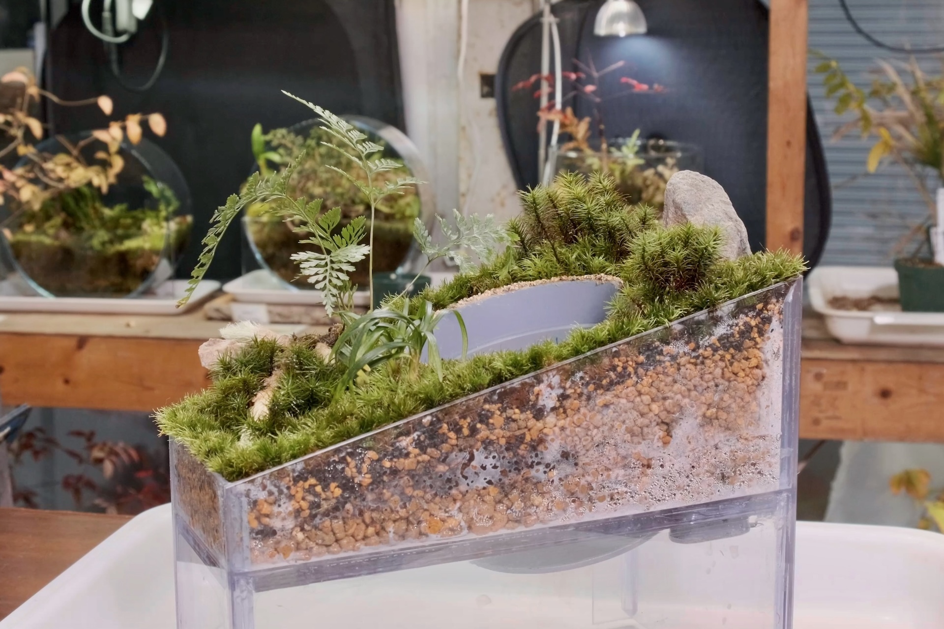 スクリーンショット 2025-03-10 15.20.55