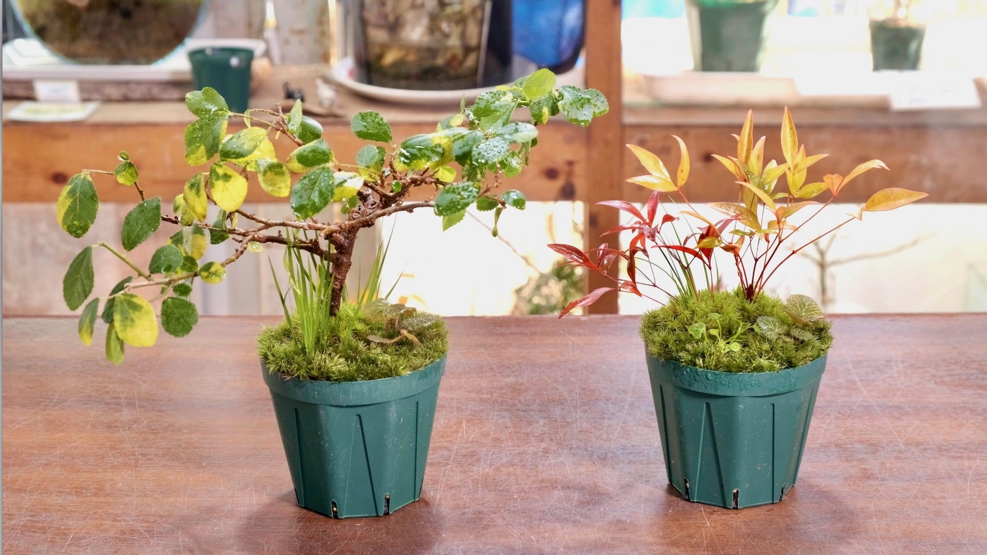 スクリーンショット 2025-03-18 13.51.55