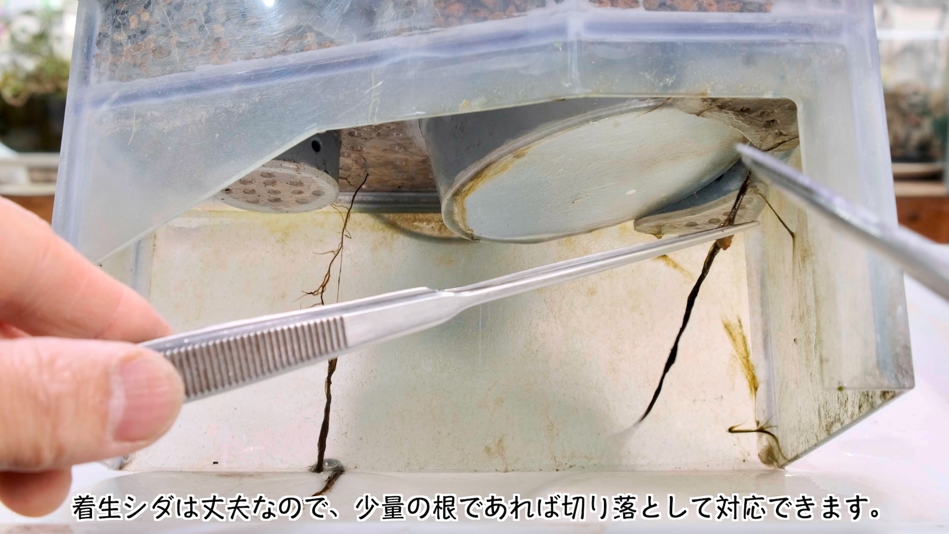 スクリーンショット 2025-04-13 15.37.06