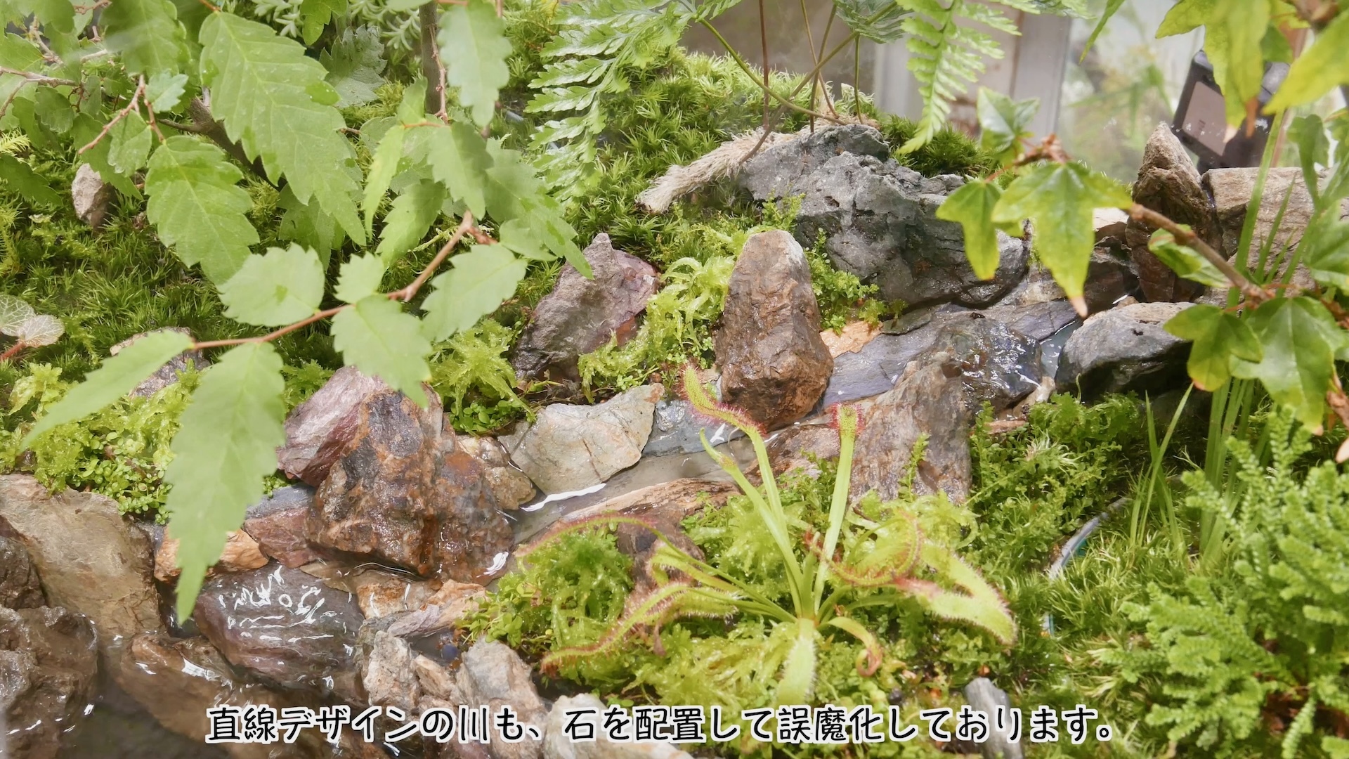 スクリーンショット 2025-07-01 23.38.02