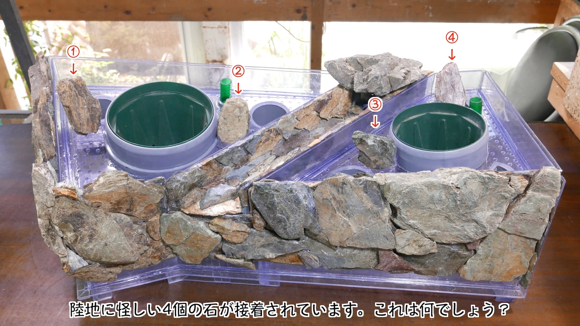 スクリーンショット 2025-07-20 14.35.29