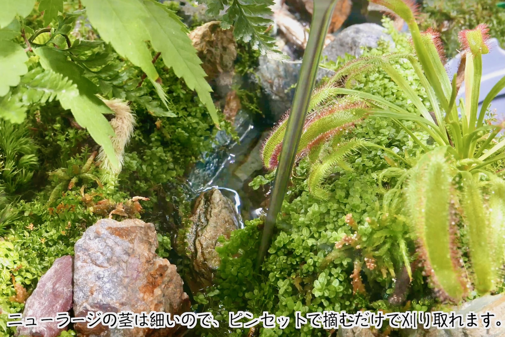 スクリーンショット 2025-10-11 14.39.07