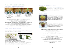 30モジュールアクアテラ暫定マニュアル.3