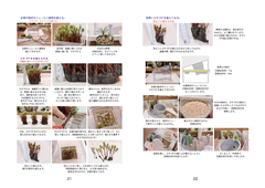 30モジュールアクアテラ暫定マニュアル.11