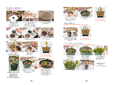 30モジュールアクアテラ暫定マニュアル.18