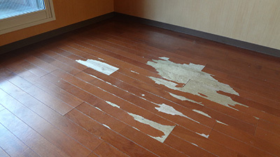 紫フローリング(ナオスフローリング)の施工事例