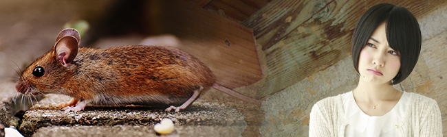 お問い合わせから施工までの流れ