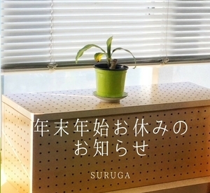 0000519303.jpg_コピー