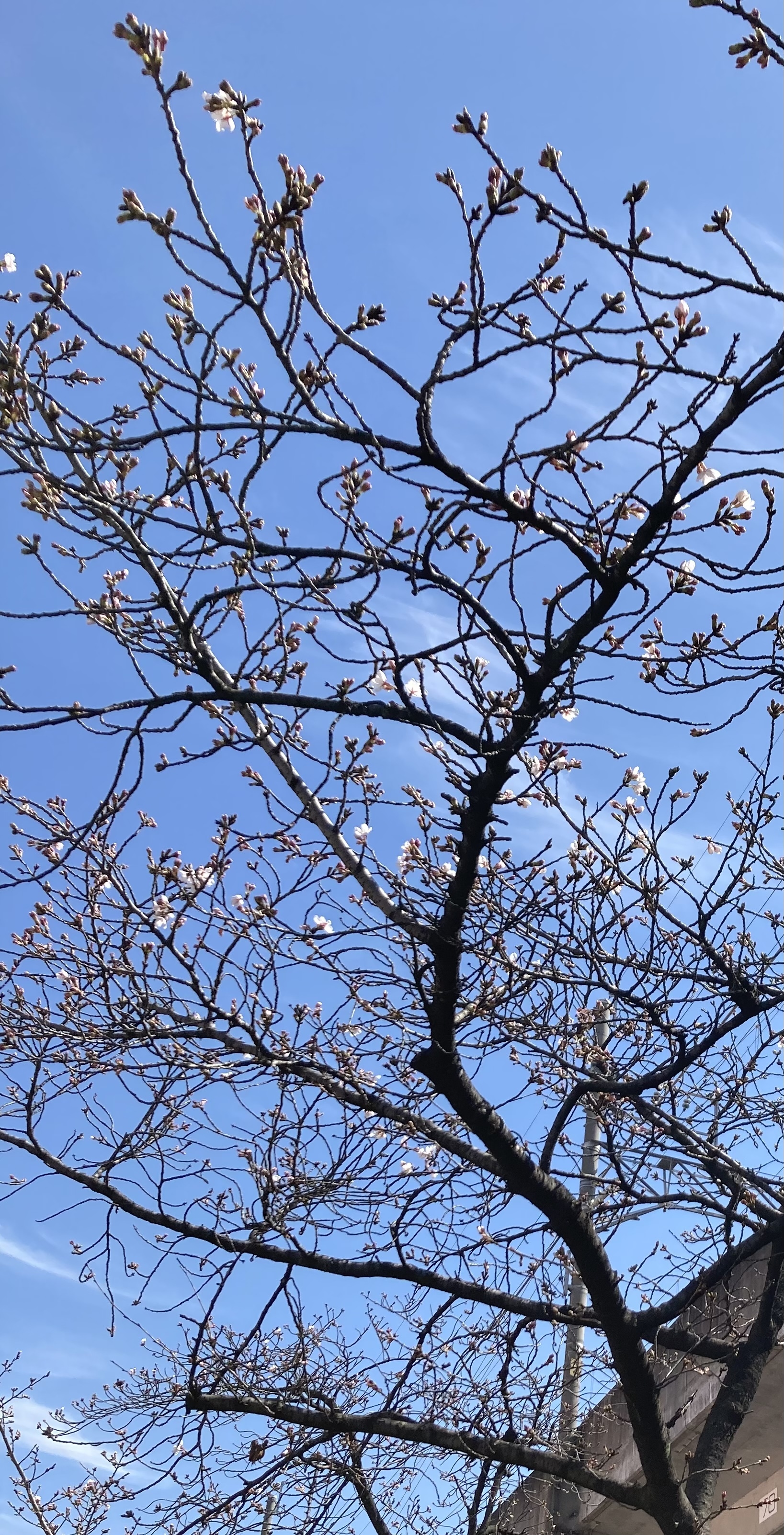 3D5CC4E2-26E5-4F14-A3AA-C71873993F41