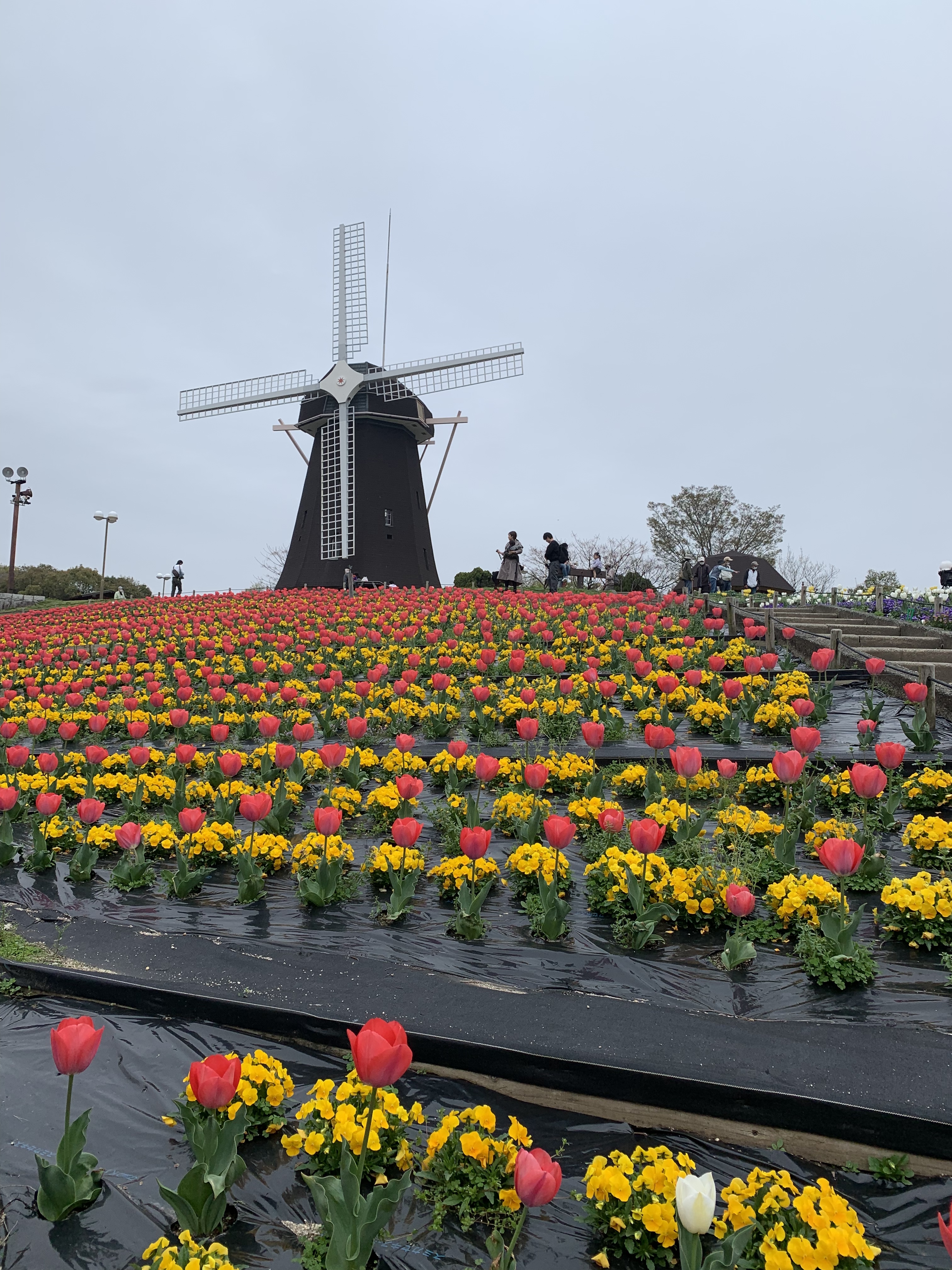 6C80322F-EE01-4ABC-BDEA-81B2BE58F095