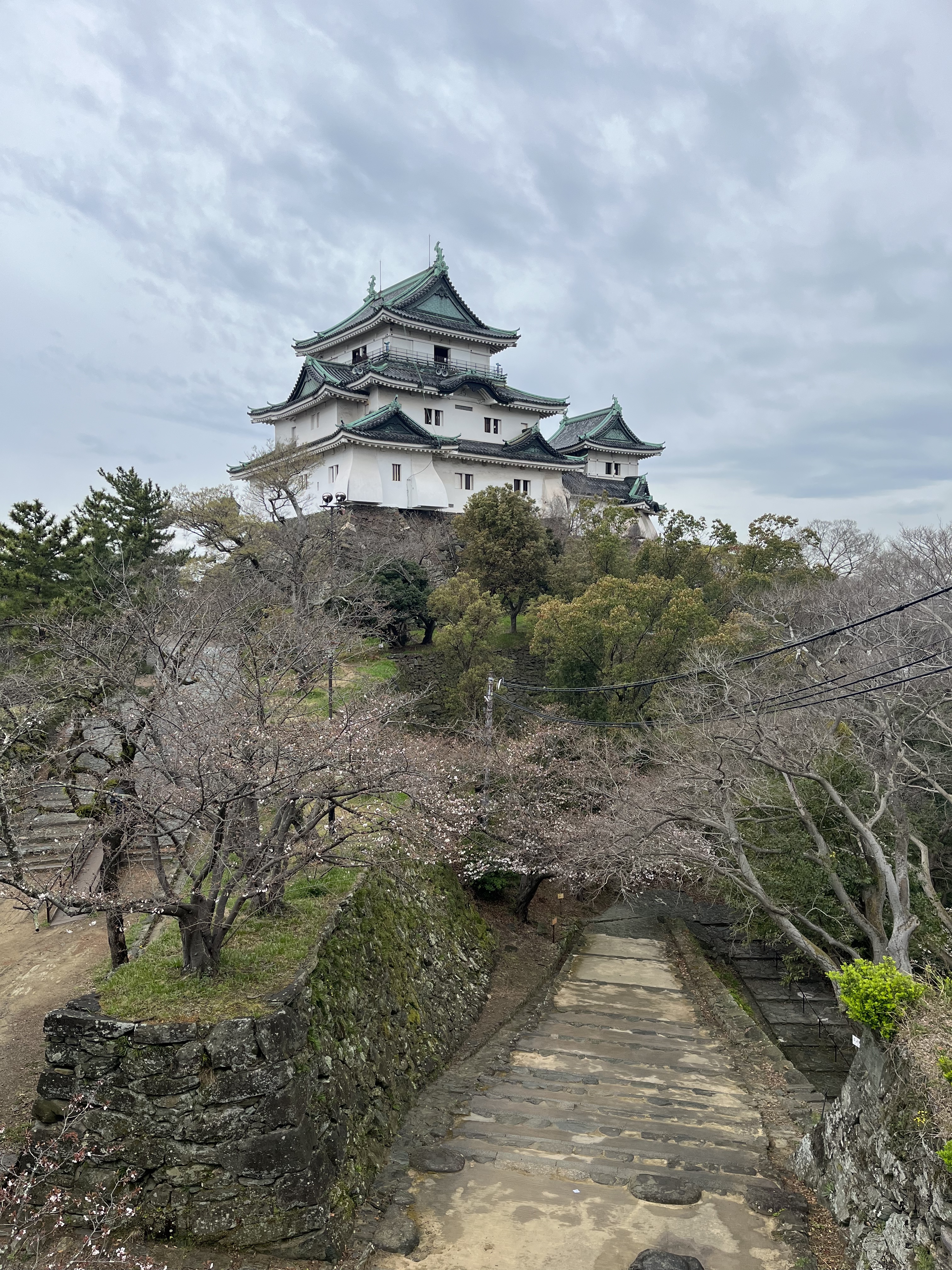 70C9FE1F-FB60-4FAB-B9E0-4E6C5D555145