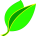 36x36