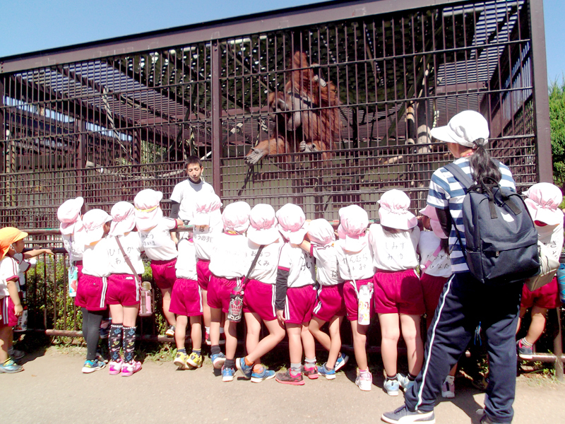 年間行事・遠足