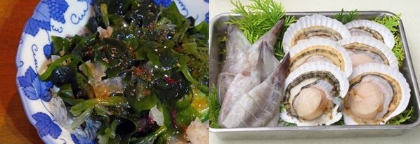 マグネシウム食品海産物
