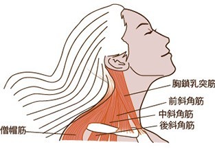 頸部