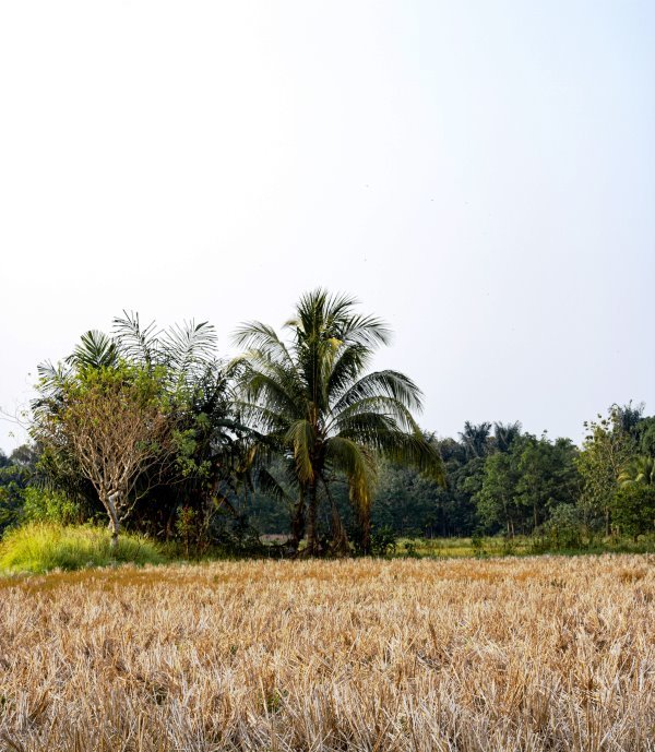 Kalimantan